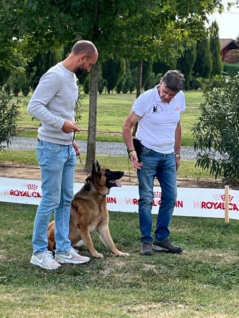 camelot-format-esperienziali-dog-experience